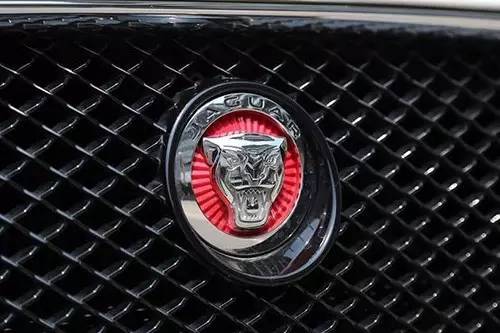 車標(biāo)上的動(dòng)物都是啥來頭？看完又能出去裝X了