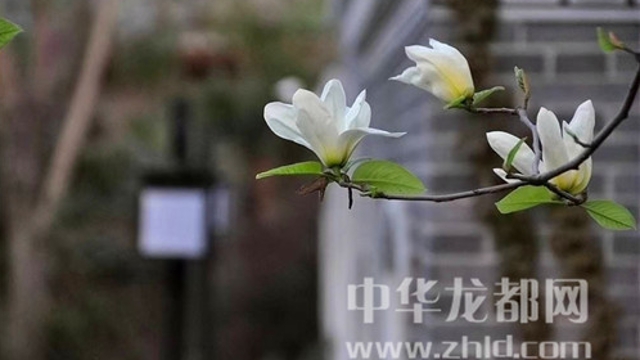 淮陽蓮舍，多了一份味道