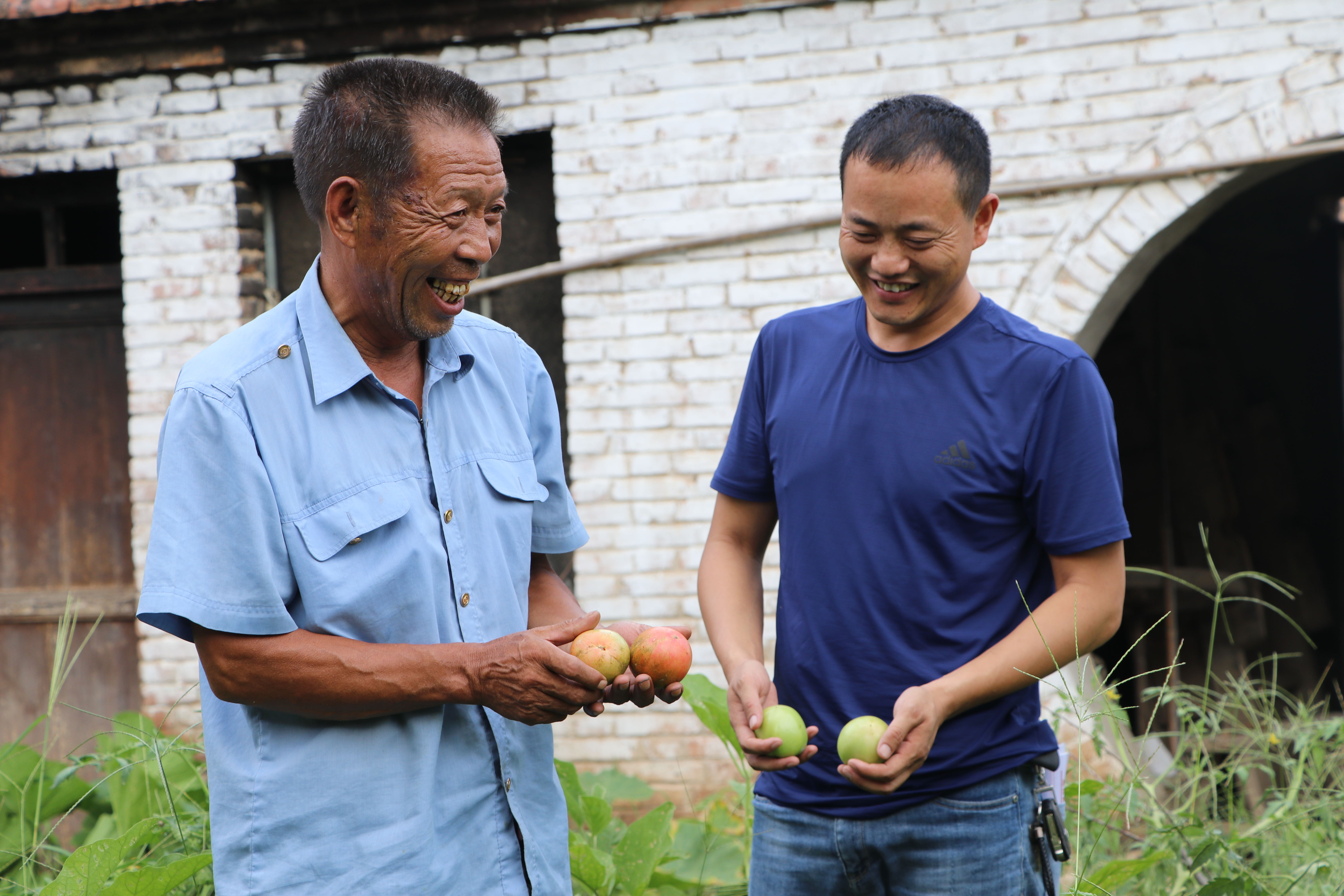 鹿邑老兵 鹿邑老兵